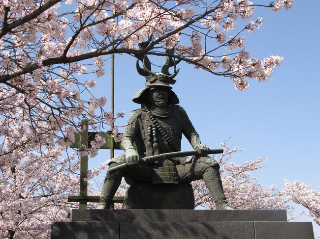 今年の桜は寒い日が続いて開花が遅れたとかと思えば、急に暖かくなって一気に咲いてすぐ散って・・・・・見頃がとっても短かったように思います。<br /><br />震災の影響で自粛ムードが取り沙汰されてましたが、マイペースで県内の桜の名所を見てきました。<br /><br />まずは桑名市の九華公園（きゅうかこうえん）です。