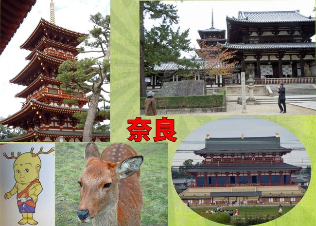 平城（奈良）遷都１３００年祭も終わりに近づいた２０１０年１０月末、大学卒業後４６年のロートル・グループの有志２０名が前日大阪に集いお互いの元気を確認・乾杯！大いに旧交を温め、近況の報告を行い、一夕を楽しむ。次の日に奈良に繰り出す！同級生の中に、奈良に住み、まほろば・ガイド（多分最高級）の資格を持つものがおり、ボランティアーでプランを準備、我々同級生をこの素晴らしい古都･古刹、歴史サイト、遷都祭のスポットにご案内してくださった。遷都祭のマスコット、遷都くん、有名な奈良公園の鹿さん、今回遷都祭のために復元された大極殿、朱雀門、遣唐使船等に迎えられ好天の奈良を散策した。ぱぶさんともう一人の友人は１日延長して、まほろば・ガイドの運転つきで正倉院展、興福寺、法隆寺と奈良を満喫した！まほろば・ガイドの友人に感謝。