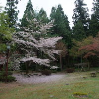 五頭（ごず）温泉郷・村杉温泉へ