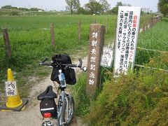 田島ヶ原のさくら草自生地、柳瀬川サイクリング