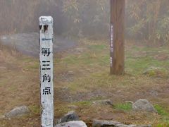 達磨山a　伊豆山稜線歩道は雲霧のなか　☆アセビとマメザクラ咲く山路