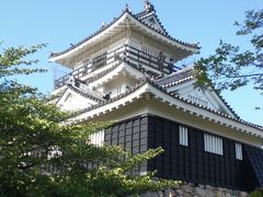 渋滞逃れで立ち寄った浜松城