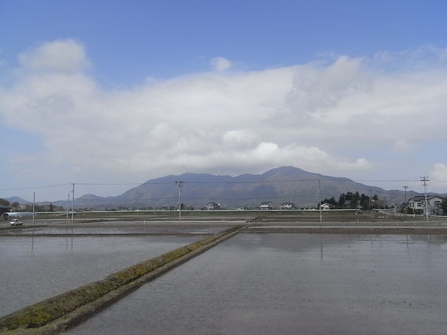 ４月２９日(金）今年最初の弥彦山登山を敢行いたしました。<br />３年生のミニギャル５人、リーダーちゃん(５年生）とオノコ(５年生）３人、そしてホモだちと計１１名のグループ。引率の僕（いつもは俺）は天候と山道の状態が一番気に掛かります。この日は前日の雨のためコンデンションは良くアリマセンでした。全員泥付き野菜のようになって、駅に帰り着きました。<br />