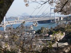 桜と瀬戸大橋