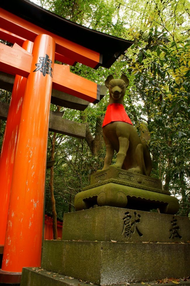 2011年4月３度目の京都詣では伏見稲荷へ<br /><br />金毘羅さんを彷彿させるかの様な階段と<br />凛々しい狐たちと<br />鳥居の数に圧倒され<br />日向ぼっこ中のネコに癒された１日<br /><br />ＧＷ幕開けは筋肉痛と共に。。