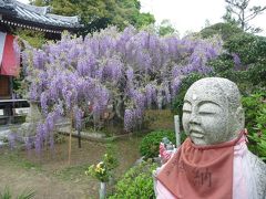 子安地蔵寺　（藤の寺）