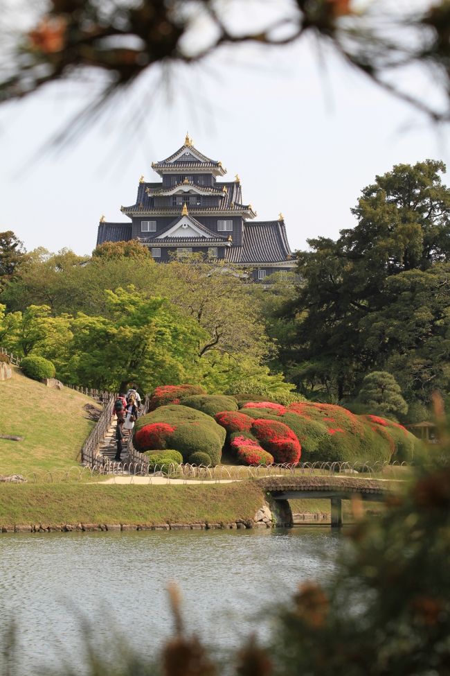 ２泊３日の岡山旅行２日目。<br />岡山城を見た後は、そのまま岡山後楽園へ行くことにしました。<br /><br /><br />◎ 岡山後楽園<br /><br />開園時間　３月２０日〜９月３０日　７：３０〜１８：００<br />　　　　１０月０１日〜３月１９日　８：００〜１７：００<br />入園料　４００円（各種共通入園券あり）<br /><br />住所　岡山市北区後楽園１−５<br />電話番号　０８６−２７２−１１４８<br />