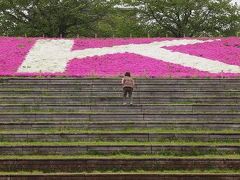 ２０１１　連休　赤羽　荒川　芝桜　