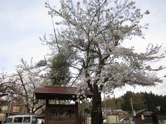 麒麟山温泉「雪つばきの宿古澤屋」に泊まる　新潟県の旅（とプラ稼ぎ）