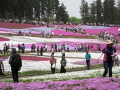 秩父羊山公園　芝桜の丘