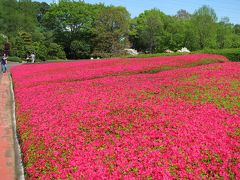 川口グリーンセンターへ