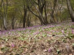 福井再発見　今立の春は今だって？