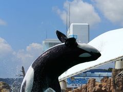 養老渓谷/勝浦/安房鴨川ぐるり旅【2】～海の王者シャチ～鴨川シーワールド②