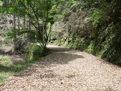 七滝が放つ涼感エアー