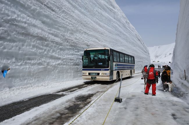 ゴールデンウィークを利用して、以前から行ってみたかった雪の大谷を散策してきました。<br />ゴールデンウィーク中日ということもあって観光客は少ないとのことでしたが、結構多くてびっくりしました。<br /><br />撮影機材<br />Camera Nikon D3<br />AF-S NIKKOR 16-35mm f/4G ED VR<br />AF-S NIKKOR 50mm f/1.4G