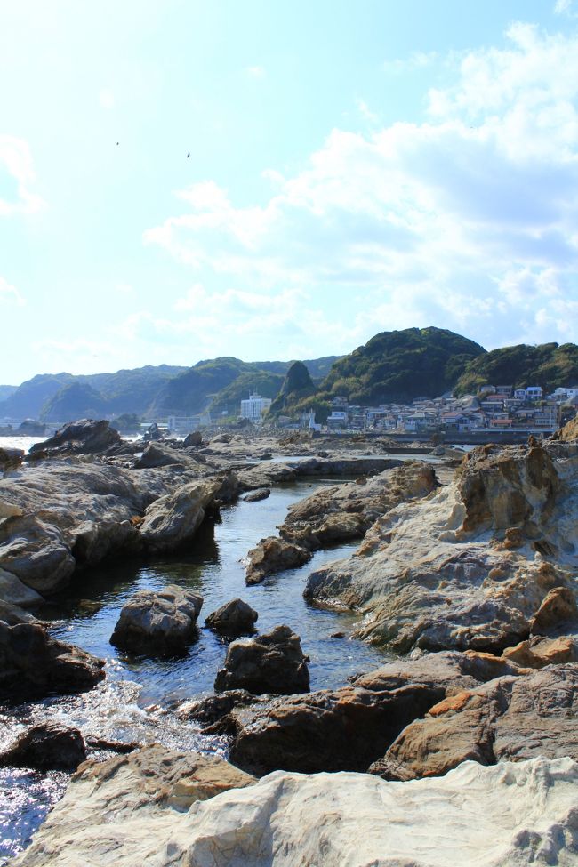 養老渓谷/御宿/勝浦/天津小湊/安房鴨川/大原/大多喜/和田/丸山千葉県外房エリアをぐるりと巡る旅。<br />勝浦市はビーチブレイク・リーフブレイクと波のバラエティに恵まれたサーフタウンでもあり日本を代表するビッグウェーブスポットでサーファー達のが季節を問わず海でサーフィンをしている姿を目にする観光都市。御宿町は海岸には砂浜が広がり海水浴場も多く房総を代表する海の町で、三重県の志摩地方、舳倉島とならび日本の三大海女地帯のひとつとしてあげられ、加藤まさをが、大正12年に発表した「月の沙漠」は、御宿海岸がその舞台となり発祥の地としても知られています。天津小湊は釣りのメッカであることや大型温泉旅館などが建ち並びマダイが群泳されることで鯛の生息地として国の特別天然記念物に指定されている「鯛の浦」が有名で鯛の浦周辺の遊覧船やのんびり海を眺めながら遊歩道を歩くのも楽しめます。<br />安房鴨川は日本の水族館で唯一！海の王者「シャチ」を見られる加茂川シーワールド、そして日本の棚田100選の大山千枚田、日本100景100選の仁右衛門島など海と山の名所があります。大多喜町から市原市に流れる養老川によって形成された渓谷で春はツツジ、夏は渓流沿いでの水遊び、秋は紅葉と四季折々の顔を見せてくれる観光名所です。特に秋の紅葉は有名で千葉県の紅葉の名所で渓流沿いは整備された遊歩道があり、紅葉時期に限らずハイキングコースとして利用される方も多く、渓流で釣りを楽しむ人もたくさんいます。養老渓谷/勝浦/安房鴨川ぐるり旅は外房エリアの見所をぐるりと巡ってみました。<br /><br />□■□■□■□■□■□■□■□■□■□■□■□■□■□■□■<br /><br />養老渓谷/勝浦/安房鴨川ぐるり旅、今回は自然豊かな「仁右衛門島 」へ行って来ました。「仁右衛門島 」は石橋山の戦いに敗れた源頼朝が安房に逃れ、平野仁右衛門に助けられ、この島で平家軍から一時身を隠していたとう伝説があります。この時に源頼朝から島周辺の漁業権を与えられ現在に至るまで平野仁右衛門一族が守り伝えている事から「仁右衛門島」と呼ばれています。鴨川市大海から沖200ｍ程にあり、漁港から渡し船で揺られること5分程で着く小さく四季折々の季節を感じさせてくれる風光明媚な小島です。千葉県では最も大きな個人所有の島としても有名で、千葉県指定名勝、【新日本百景】にも選ばれています。<br /><br />□■□■□■□■□■□■□■□■□■□■□■□■□■□■□■<br /><br />＜仁右衛門島＞<br />〒299-2863<br />千葉県鴨川市太海浜445<br />TEL　04-7092-3456<br />観覧料金　大人1,350円　中学生1,050円　5歳～小学生950円<br />http://niemonjima.web.fc2.com/<br /><br />□■□■□■□■□■□■□■□■□■□■□■□■□■□■□■<br /><br />＜養老渓谷/勝浦/安房鴨川ぐるり旅＞<br />【1】大多喜城(花見)<br />http://4travel.jp/traveler/dekadora/album/10557909/<br />【2】房総の小江戸<br />http://4travel.jp/traveler/dekadora/album/10557910/<br />【3】鴨川シーワールド<br />http://4travel.jp/traveler/dekadora/album/10562882/<br />【4】鴨川シーワールド<br />http://4travel.jp/traveler/dekadora/album/10564097/<br />【5】鴨川シーワールド<br />http://4travel.jp/traveler/dekadora/album/10564110/<br />【6】鴨川シーワールド<br />http://4travel.jp/traveler/dekadora/album/10564108/<br />【7】鴨川シーワールド<br />http://4travel.jp/traveler/dekadora/album/10564151/<br />【8】鴨川シーワールド<br />http://4travel.jp/traveler/dekadora/album/10564127/<br />【9】仁右衛門島<br />http://4travel.jp/traveler/dekadora/album/10562883/<br />【10】仁右衛門島<br />http://4travel.jp/traveler/dekadora/album/10564169/<br />【11】大山千枚田「春」<br />http://4travel.jp/traveler/dekadora/album/10562884/<br />【12】モリアオガエルの生息地　清澄寺<br />http://4travel.jp/traveler/dekadora/album/10562888/<br />【13】レストランキッズ<br />http://4travel.jp/traveler/dekadora/album/10564203/<br />【14】日本のかおり風景100選　誕生寺<br />http://4travel.jp/traveler/dekadora/album/10618973/<br />【15】特別天然記念物　鯛の浦遊覧船＆遊歩道<br />http://4travel.jp/traveler/dekadora/album/10618979/<br />【16】イングリッシュガーデン　らん花園<br />http://4travel.jp/traveler/dekadora/album/10618991/<br />【17】大山千枚田（棚田の夜祭り2011）<br />http://4travel.jp/traveler/dekadora/album/10618992/<br />【18】小沢又の滝(幻の滝)(紅葉)<br />http://4travel.jp/traveler/dekadora/album/10626458/<br />【19】粟又の滝＆遊歩道(紅葉)<br />http://4travel.jp/traveler/dekadora/album/10626468/<br />【20】おんじゅくまちかど「つるし雛めぐり」<br />http://4travel.jp/traveler/dekadora/album/10649776/ <br />【21】かつうらビックひな祭り<br />http://4travel.jp/traveler/dekadora/album/10649954 <br />【22】花野辺の里(水仙/菜の花)<br />http://4travel.jp/traveler/dekadora/album/10662308/ <br />【23】粟又の滝＆遊歩道(新緑）<br />http://4travel.jp/traveler/dekadora/album/10679598/<br />【24】弘文洞跡＆中瀬遊歩道＆出世観音(新緑)<br />http://4travel.jp/traveler/dekadora/album/10679975/ <br />【25】シーフェスタ in Kamogawa2012 <br />http://4travel.jp/traveler/dekadora/album/10680476/<br />【26】大山千枚田「初夏」<br />http://4travel.jp/traveler/dekadora/album/10681220/ 