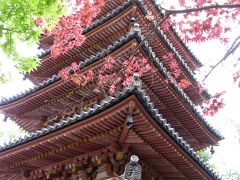 海住山寺　国宝の五重の塔（京都府木津川市）