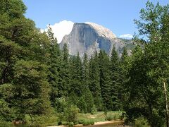 Yosemite / Sequoia NP ヨセミテ・セコイア国立公園の旅