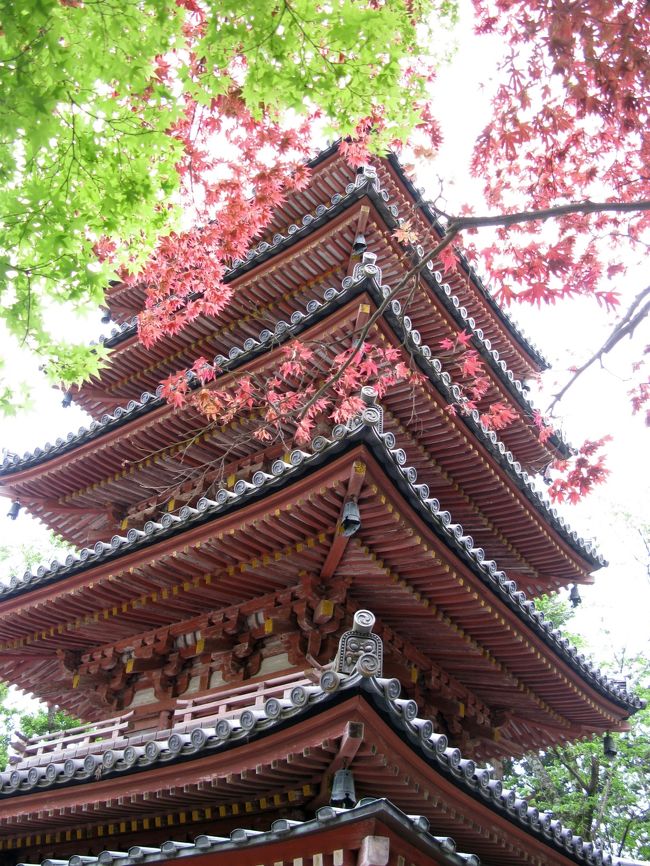 海住山寺の創建は天平七年（７３５年）と伝えられています。<br />国宝五重の塔は鎌倉時代の建保二年（１２１４年）建立です。<br />さほど大きくはないですが綺麗なたたずまいをしています。<br /><br />三上山（海住山）中腹に建つこの寺へ自動車で行きましたが、途中の道路は車１台がやっと通れる民家の軒下のような所を通ったり、あぜ道を走ったりとかなり厳しいものがあります。寺の近くになると道幅も広くなりますが、かなりの急坂となります。