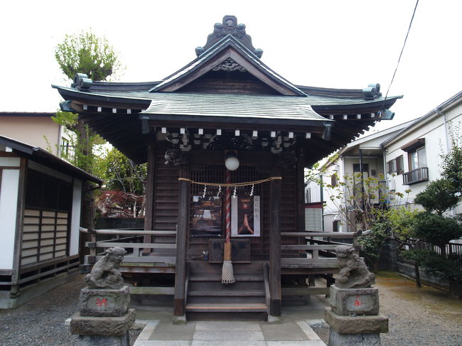 　鎌倉市台1に鎮座する塩釜神社は江戸幕末の創建である。当所の娘が仙台公に仕え、塩釜神社を崇敬すること頗る厚く、帰郷するにあたってその御分霊をいただき、小祀を建て崇敬の至誠を捧げてきた。祭神は塩土老翁神（別宮）、武甕槌神（左宮）、経津主神（右宮）の3柱である。主祭神を別宮、2柱を左宮、右宮に祀っているのは陸奥国一之宮に従っている。祭礼は7月10日であったが第2日曜日に変更されている。12月23日に大祓が行われる。<br />　大船駅南西の柏尾川に面している。台1は柏尾川右岸沿いに大船駅西口からフラワーセンター端対岸まで細長く延びる町である。台2から台5、台と続くが台はもうJR北鎌倉至近である。台2は大船駅に近いとはいえ、小袋谷川や東海道線や横須賀線が通り、雑然としている。台3から台5、台もそんな感じだ。台1の塩釜神社あたりだけが整然と道路が切られている。かつては柏尾川の河川敷であったはずで東海道線が通り、線路と柏尾川の河川敷の間に堤防が築かれ、人が住めるようになったのであろう。それとともに塩釜神社もこの地に遷座してきたと考えるべきである。狛犬の建立が昭和8年（1933年）であるからこのときであろう。<br />（表紙写真は塩釜神社本殿）