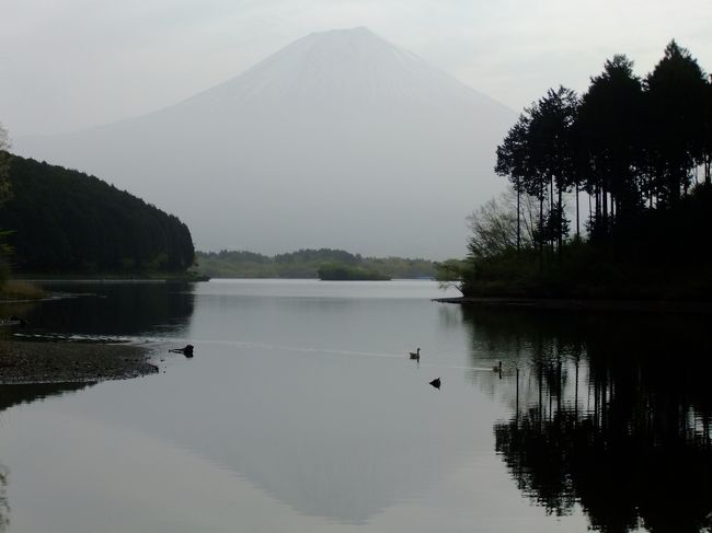 あいにく雲が多い３日間でした<br />それでもかすみの中に発見＾＾<br />逆さ富士は撮れるかな？<br /><br />行きはそれほどでも無かったけど帰りにＧＷの渋滞に(^。^;)<br />でも反対方向だったのか割と早く到着。<br /><br />さて次はどこへ行こう。