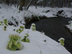 長靴でゆく春の道東～雪と芽吹きの頃編～