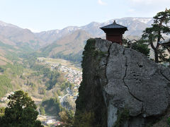 山形のさくらと足利の藤