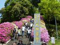 連休は佐賀県で(大興善寺の満開のつつじに癒される）