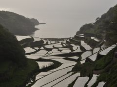 棚田に恋して