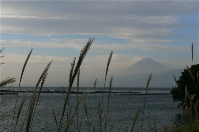 伊豆半島の各地から富士山を遠望したくて車で回った。