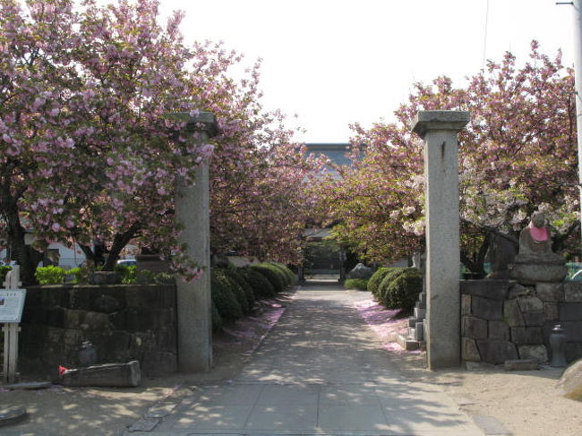 福島市内の花の名所 福島市 福島県 の旅行記 ブログ By Nederlandさん フォートラベル 福島市内の花の名所 福島市 福島県 の旅行記 ブログ By Nederlandさん フォートラベル