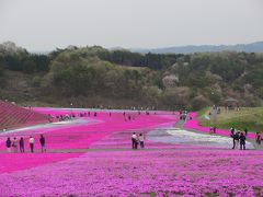 市貝町芝ざくら公園