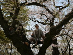 桜めぐり東北の旅 2011 3日目 (山形蔵王温泉～烏帽子山公園～米沢～猪苗代)