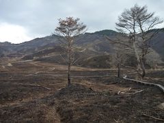 ノルウェイの森ロケ地・砥峰高原の無残な姿