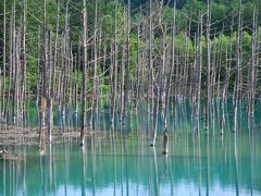 【夏旅】北海道のおへそで風景と食を満喫（３）～青い池 ＆ 白金温泉「森の旅亭びえい」