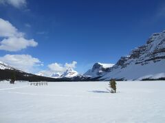 【レンタカー2人旅】ジャスパー, バンフ/カナダ　Jasper, Banff/Canada