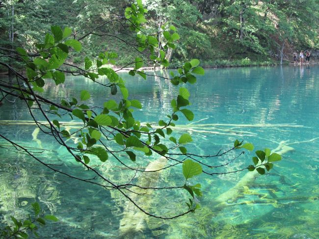 下湖群を巡り終わって次は上湖群へ向かいます。<br />上湖群へは定期的にﾊﾞｽが運航されています。<br />ﾊﾞｽに揺られる事約15分で一番奥へ到着します。<br /><br />上湖群は、下湖群とまた雰囲気が違って<br />とても美しいかったです♪<br />もし時間があるなら上湖群に行かれるのを<br />お勧めします！！<br /><br />それでは、写真をどうぞ～<br /><br /><br /><br />旅行の準備には下記のｻｲﾄが非常に役に立ちました。<br />↓<br />http://www.croatiatraveller.com/Zagreb_region/zagreb.html<br />