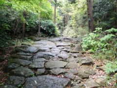 ＧＷ最終日熊野古道「馬越峠」