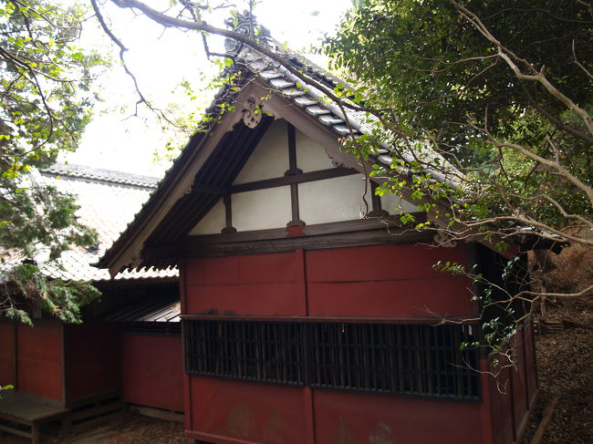 鎌倉市山崎宮廻りに鎮座する北野神社は暦応年間(1338年〜1342年)に夢窓疎石が京都の北野天神社を勧請したものである。貞治元年(1362年)円覚寺塔頭黄院主が当社を再建した。 <br /> 岩瀬村の五所明神に合祀されていた相殿の牛頭天王は、延宝年間(1673年〜1681年)に神託により合祀した。山崎の鎮守で、祭神は菅原道真である。<br /> 祭礼は、2月25日に祈年祭、7月15日に夏季例祭として天王祭、7月22日に夏季例祭として行き合い祭、9月25日に例祭と鎌倉神楽を行っている。<br /> 参道入口は狭いが、折れ曲がりながら長い石段が続く。房州石の石段のようだ。鳥居の前には2本の榊の木が鳥居代わりに立ち、続いて鳥居が建っている。北野神社が鎮座している天神山には杉や檜、銀杏、楠、椿、モチノキ、イヌシデなどが茂り、鎮守の杜としては壮観である。緑地指定されている理由が容易に理解できる。四方竹がなく丸竹の竹林があることも鎌倉の在であることを示していようか。<br /> 鎌倉界隈の天神さまは荏柄天神社を始めとしていずれも境内が広くないものと思っていたが、ここ北野神社は違った。天神下の地名はかなり離れているという印象だ。<br /> 境内には宝篋印塔(応永12年(1405年)銘)が建っていた。それよりも驚いたのは拝殿に続く本殿風の社殿が本殿の覆い屋であることだ。横浜市金沢区に鎮座する富岡八幡宮がそうであるが、本殿の覆い屋が大きくで立派だ。本殿だと思い覆い屋であることに気が付く者は殆んどいないであろう。また、関東大震災で倒壊し、昭和初期に立てられた社殿で、瓦葺き屋根であるが、飾り瓦は上がっていなかった。京風にして神社社殿には飾り瓦を上げなかったのであろうか。<br />(表紙写真は本殿風の本殿の覆い屋)