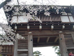 東北の桜　秋田県（本庄公園～岩神ふれあいの森）