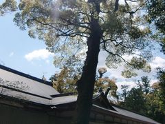 伊勢志摩の旅♪　②伊勢神宮へお参り＜食べ歩き