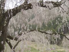 2011 GW 群馬＆長野 温泉旅行 ② ～奥山田温泉満山荘＆高山桜三昧編～