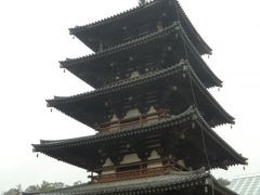 雨の奈良で　法隆寺　