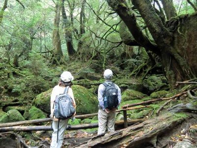 屋久島でゴールデンウィーク 1 スケジュール編 屋久島 鹿児島県 の旅行記 ブログ By Yakkunnさん フォートラベル 屋久島でゴールデンウィーク 1 スケジュール編 屋久島 鹿児島県 の旅行記 ブログ By Yakkunnさん フォートラベル