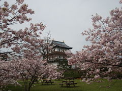北海道の桜　2011年５月