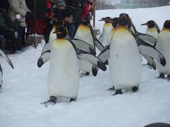 ２００９年冬　北の国へ　１日目旭山動物園　