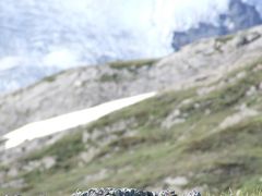 自転車の旅　Canada & Alaska 2/5　夢のカナディアンロッキー　BunffからJasperまで