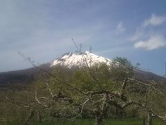 ●桜便りおまけ～岩木山●