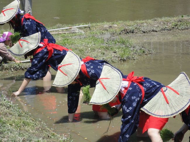 かやぶきの里で知られる旧北桑田郡美山町（現南丹市美山町)で田植えの神事が行われるということで、葵祭で賑わう京都市内を出て北に向かいました。