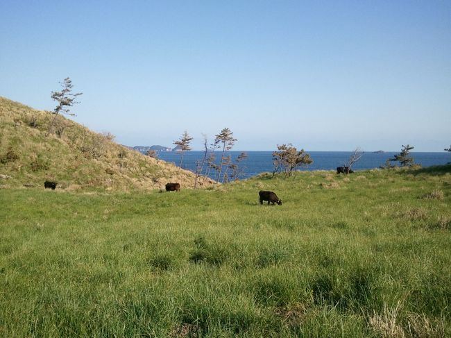 隠岐諸島2泊をメインとする旅行に行きました。全体の行程は以下で、この旅行記は★の部分です。<br /><br />1日目：米子空港着、境港観光<br />1日目：美保関観光、松江泊<br />2日目：松江堀川遊覧船<br />2日目：出雲大社、日御碕灯台、米子泊<br />3日目：島後観光、島後泊★<br />4日目：観光船、知夫里島観光、西ノ島泊<br />5日目：西ノ島観光、米子空港発<br />